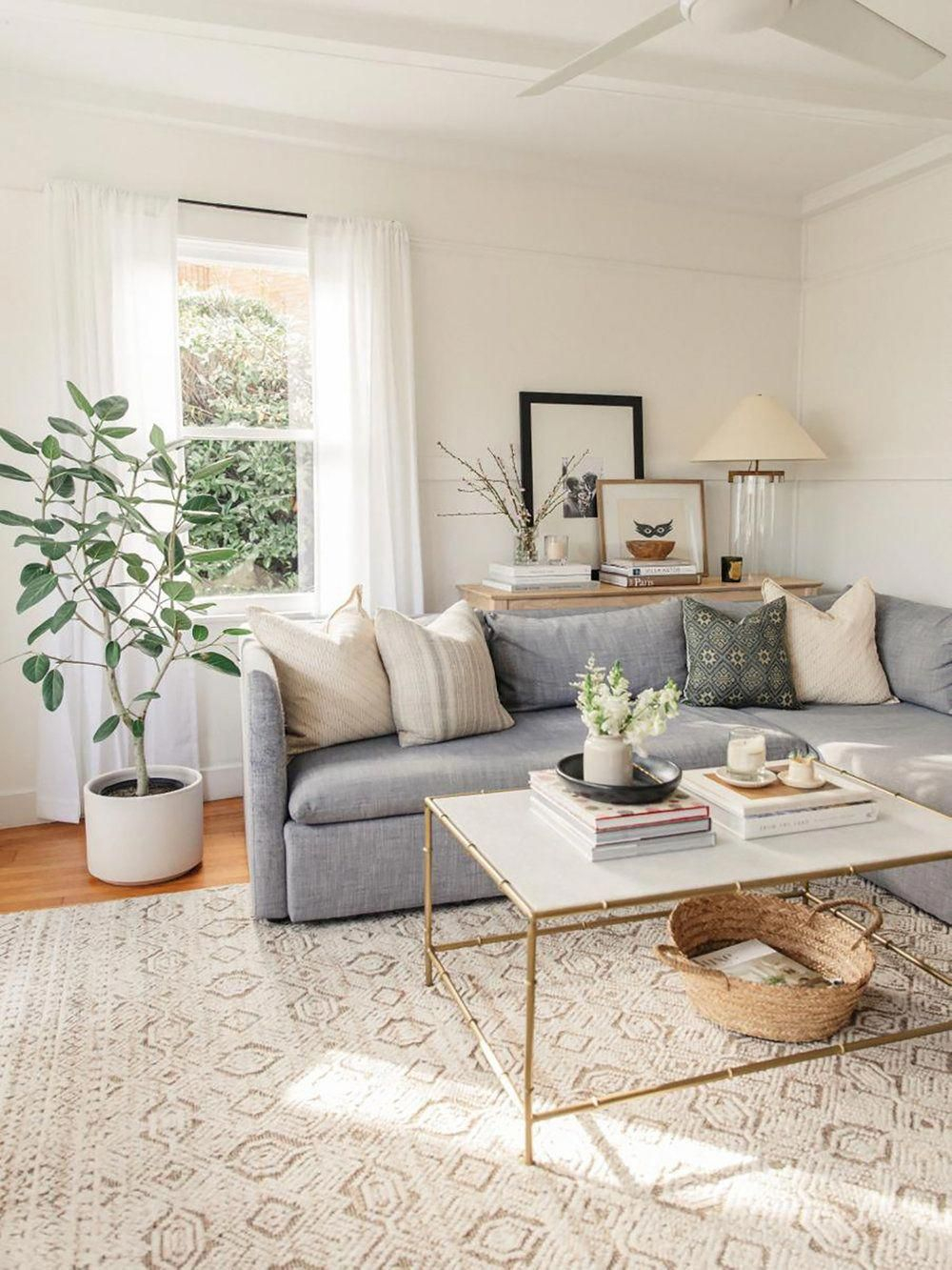 Modern Living Room - Ficus Audrey - Modern Farmhouse - Pinterest Home ... in Modern Living Room Design Ideas Pinterest
