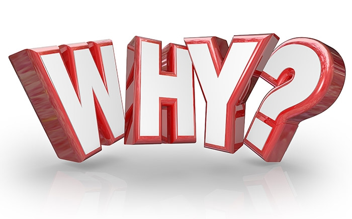 Why You Should Start With Why for