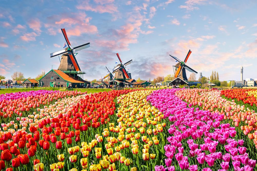 The Netherlands Is Officially Dropping Its "Holland" Nickname | Tatler ... inside Holland 6-Drawer Double Dresser